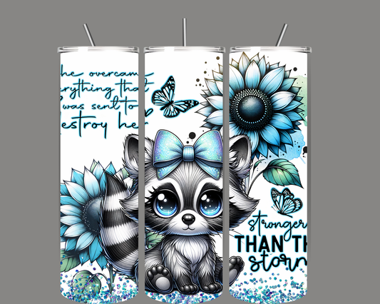 Racoon Stronger than you think
